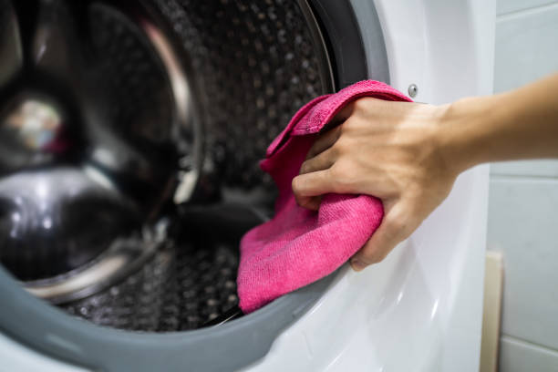  Wellford, SC Mold Removal Pros