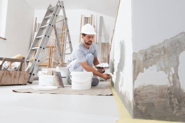 Best Post-Construction Mold Inspection  in Wellford, SC