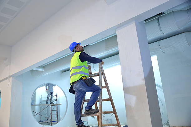 Best Mold Removal for HVAC Installations  in Wellford, SC