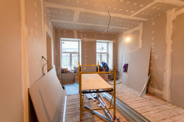 Professional Mold Removal in Wellford, SC